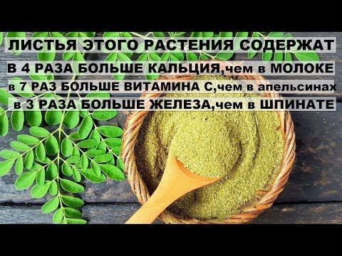 Видео о препарате Моринга (Morínga) капсулы 400мг №90